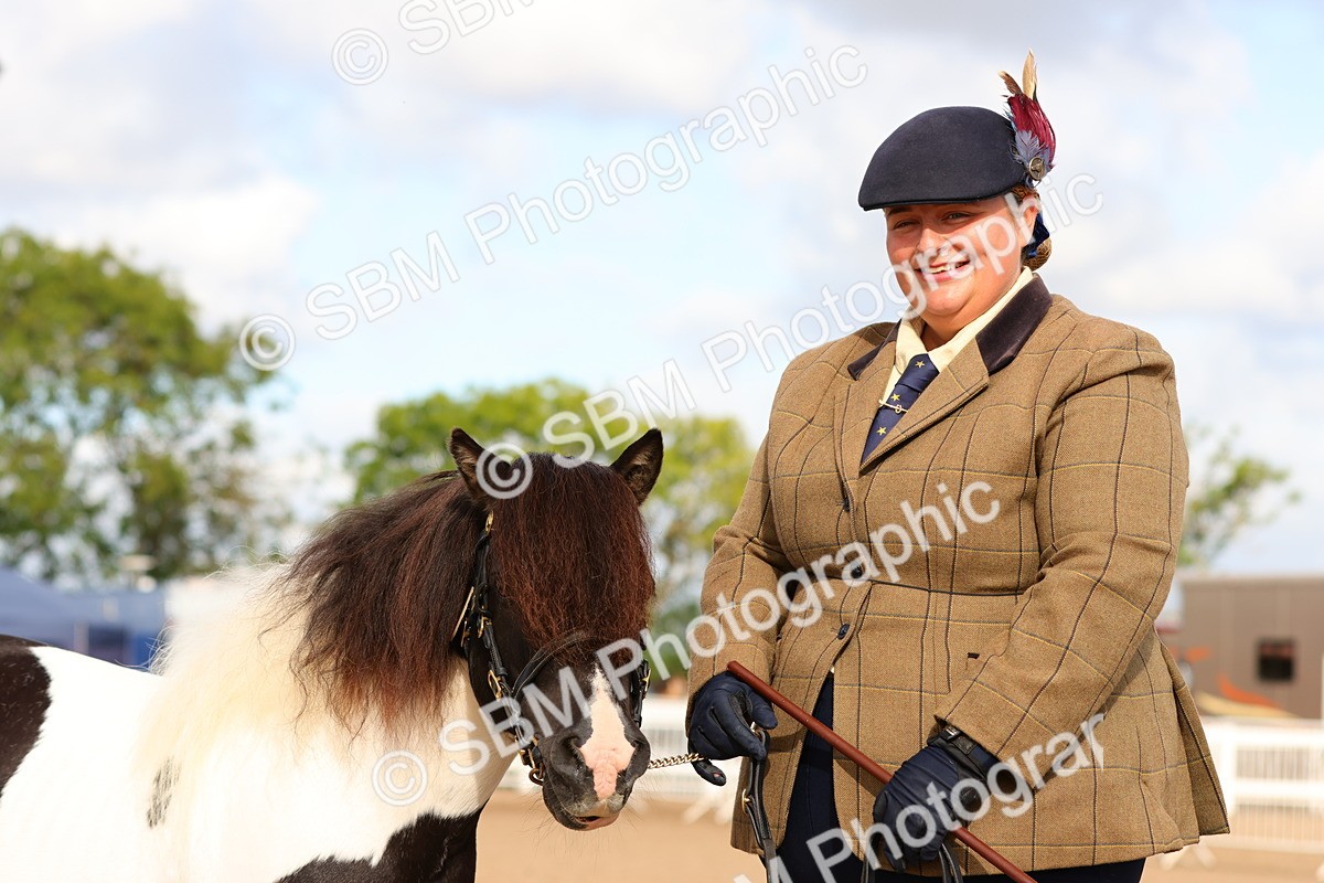 SBM_10306 - Class 206 - IH Non Show Type Pony