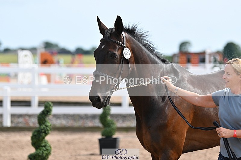 240717A-161534-03392 - Trot Up 4pm to 5pm