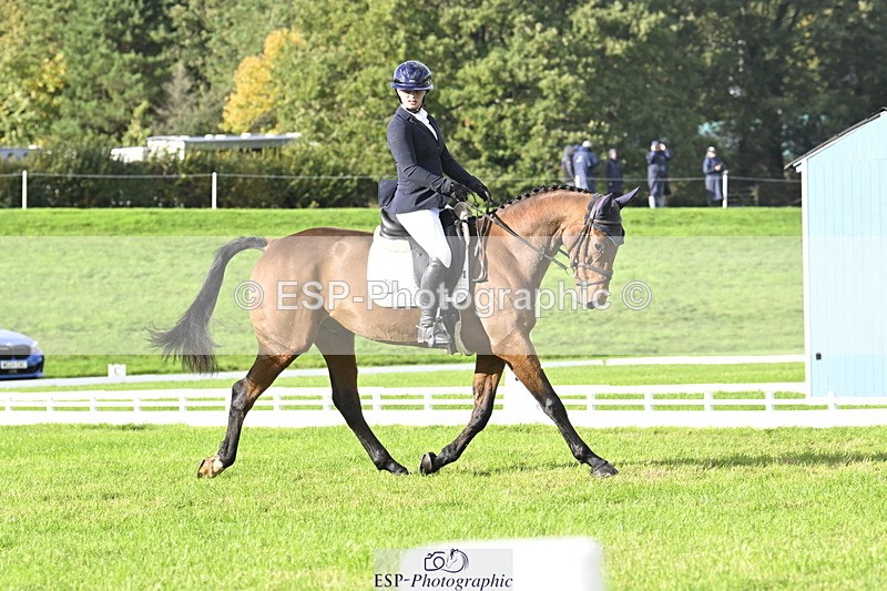 251023A-150803-04521 - E-386-Zara.Head