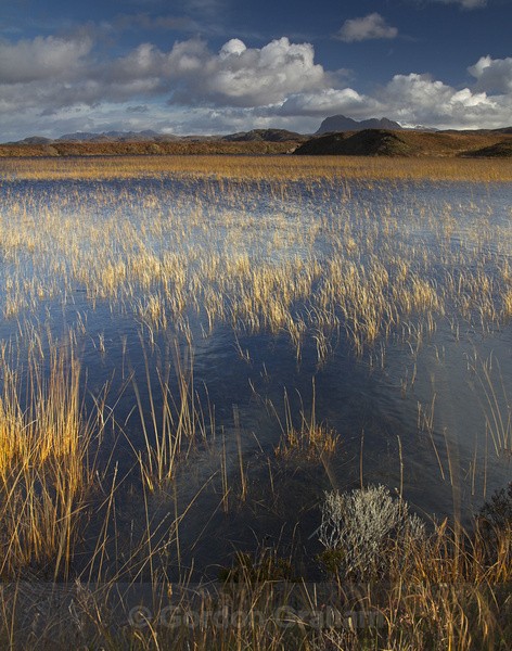 Reed pool & Suilven - General
