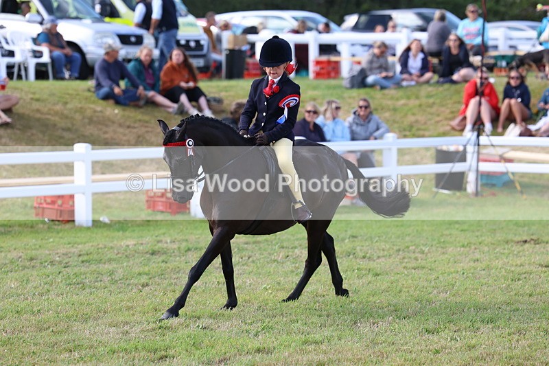 3E7A3972 - Supreme Championship