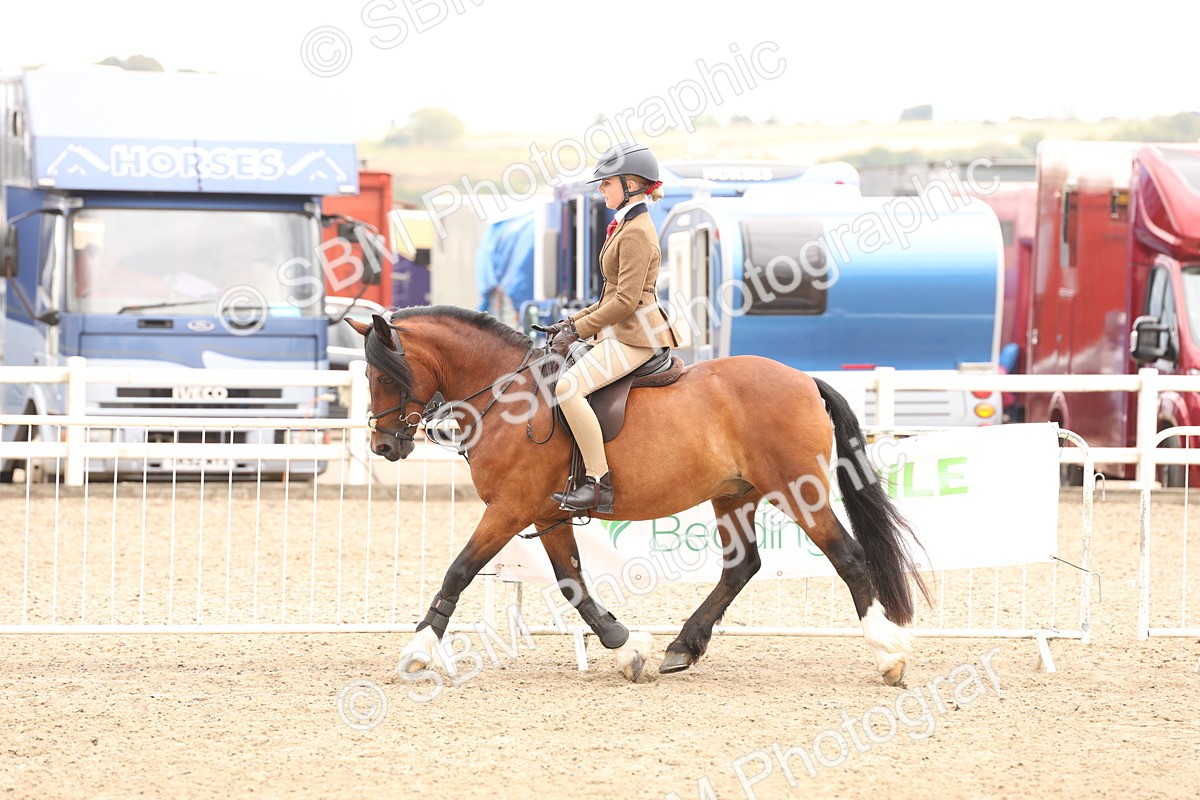 SBM_06251 - Class 57b -  Style & Performance - 60cm (20+)