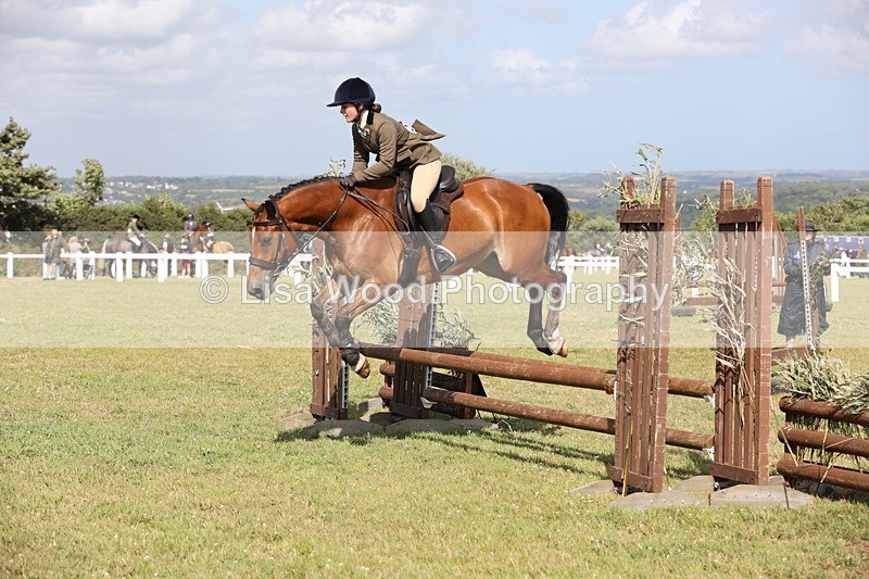 JPP_2620 - Class 20: Working Hunter 70cm