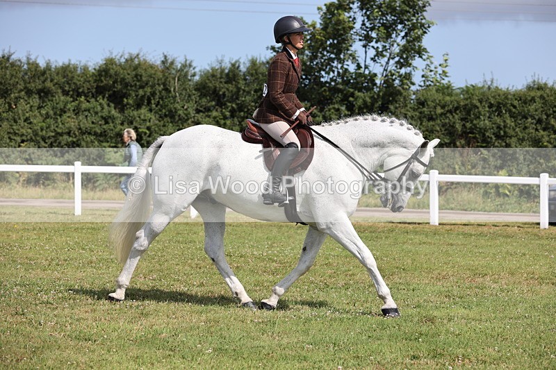 JPP_1119 - Class 17: Cornish Combination Open