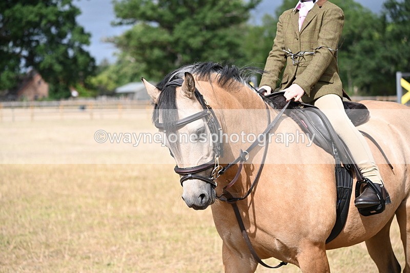 WJ6_7579 - Class 9 Tack and Turnout