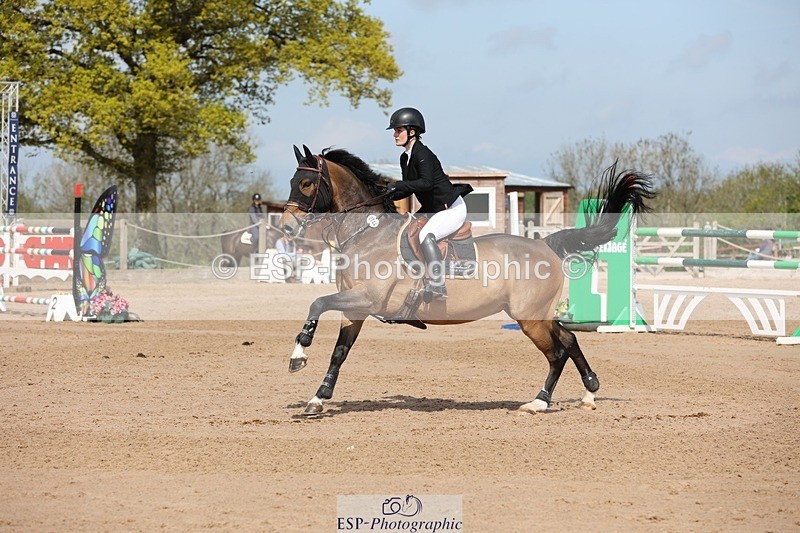 250427-111121-15845 - Cls 36 Young Horse 7yr old