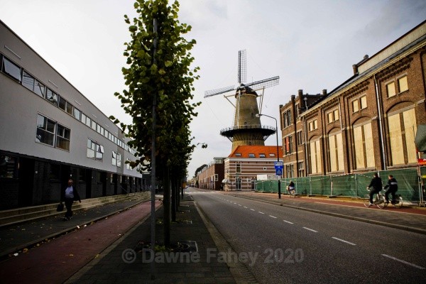  - Dordrecht - a closer look