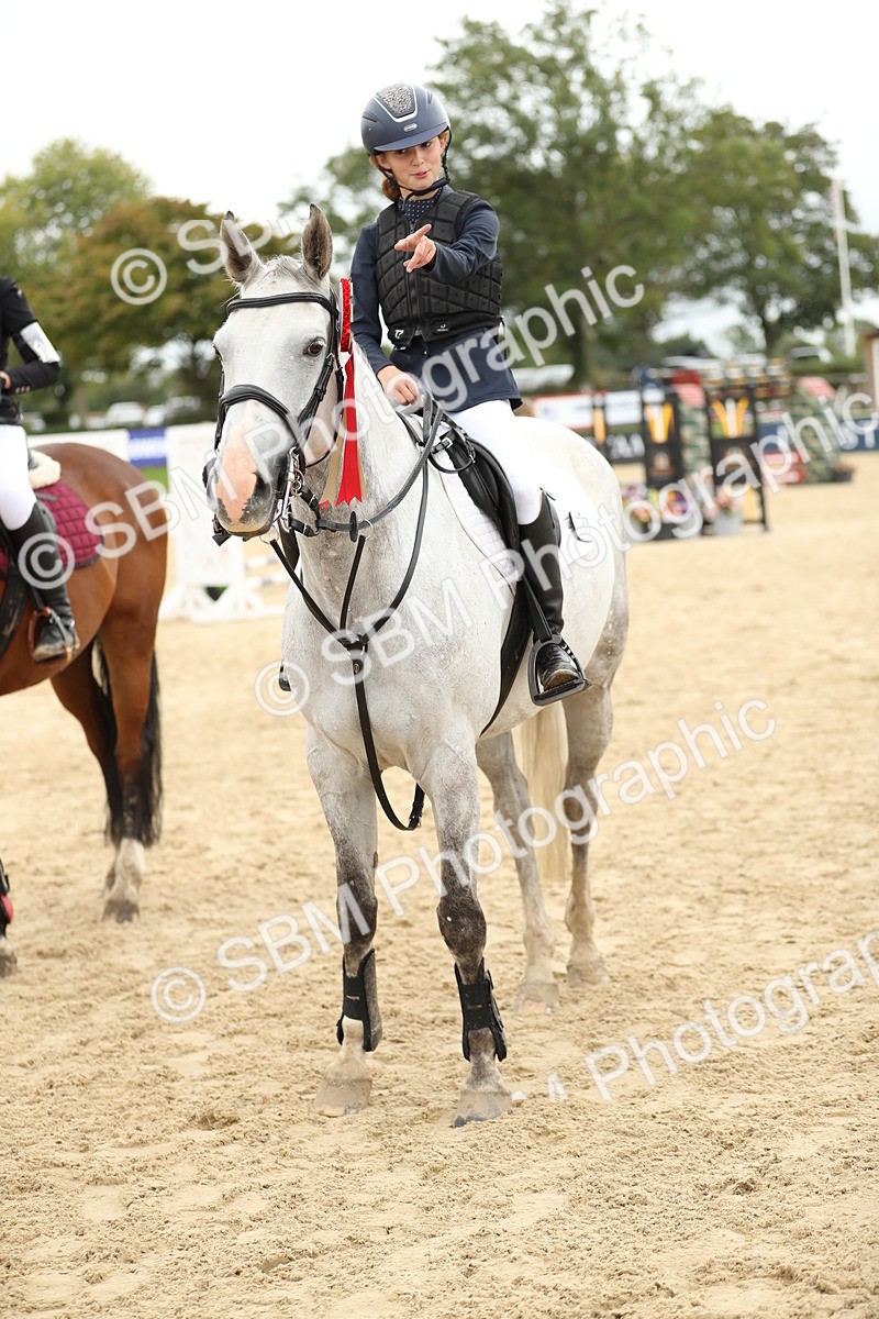 SBM_63173 - Supreme championship 75cm 80cm