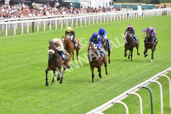 yr23072022r4-24 - Race 4 3.50pm Sky Bet In Running Racing Nursery Handicap