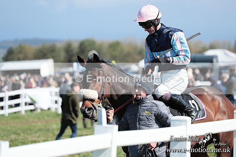 PtP 230324 241 - Tedworth Hunt PtP Larkhill Raccourse 23rd March 2024