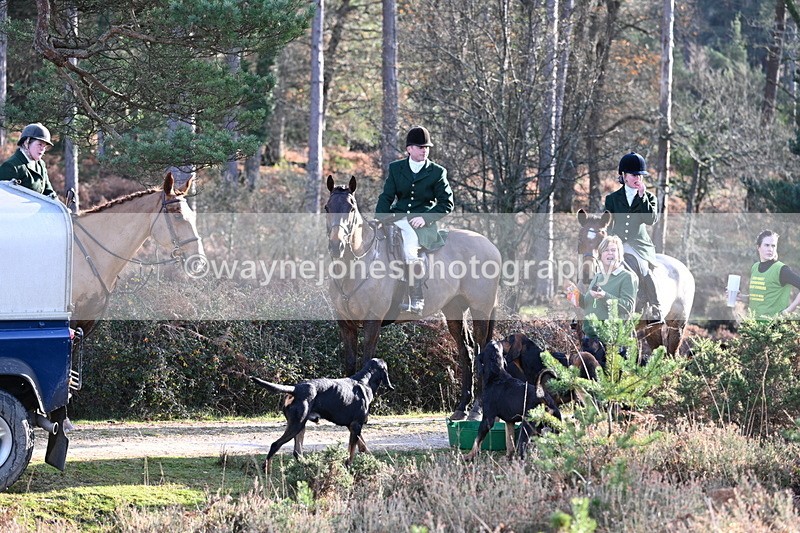 WJ7_7443 - Line 3 (no line 4 or 5)