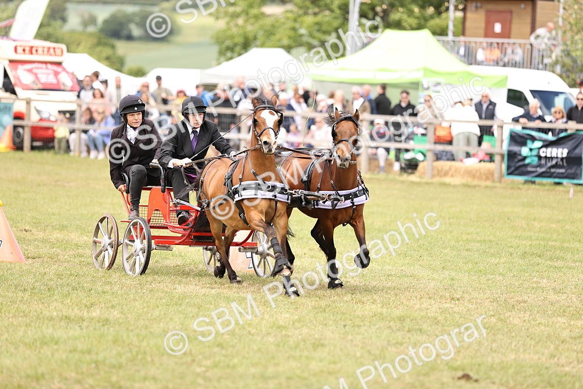 SBM_16107 - Class 91 - Scurry  exceeding 122cms