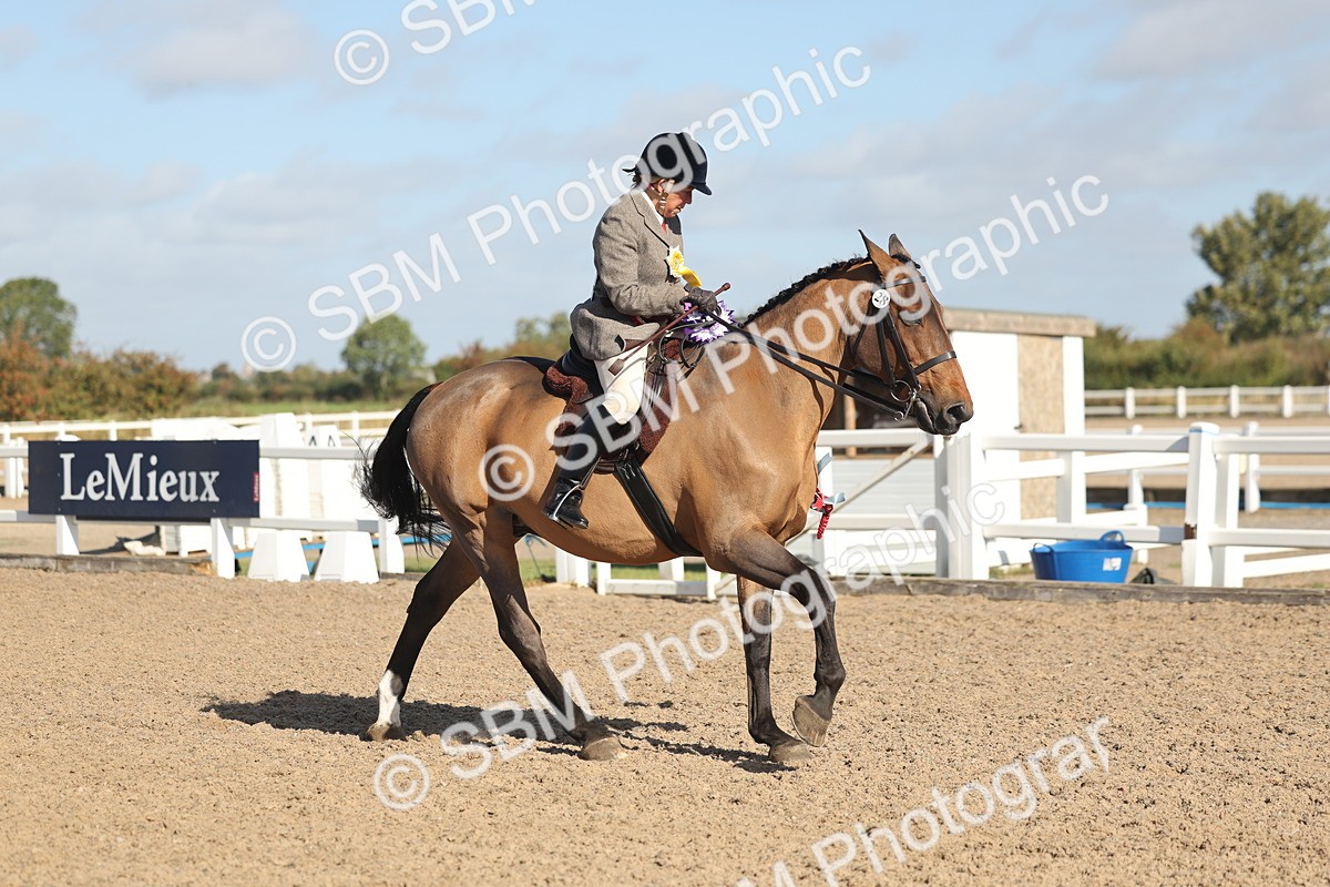 SBM_22349 - Class 803 - Ridden Combination 65+