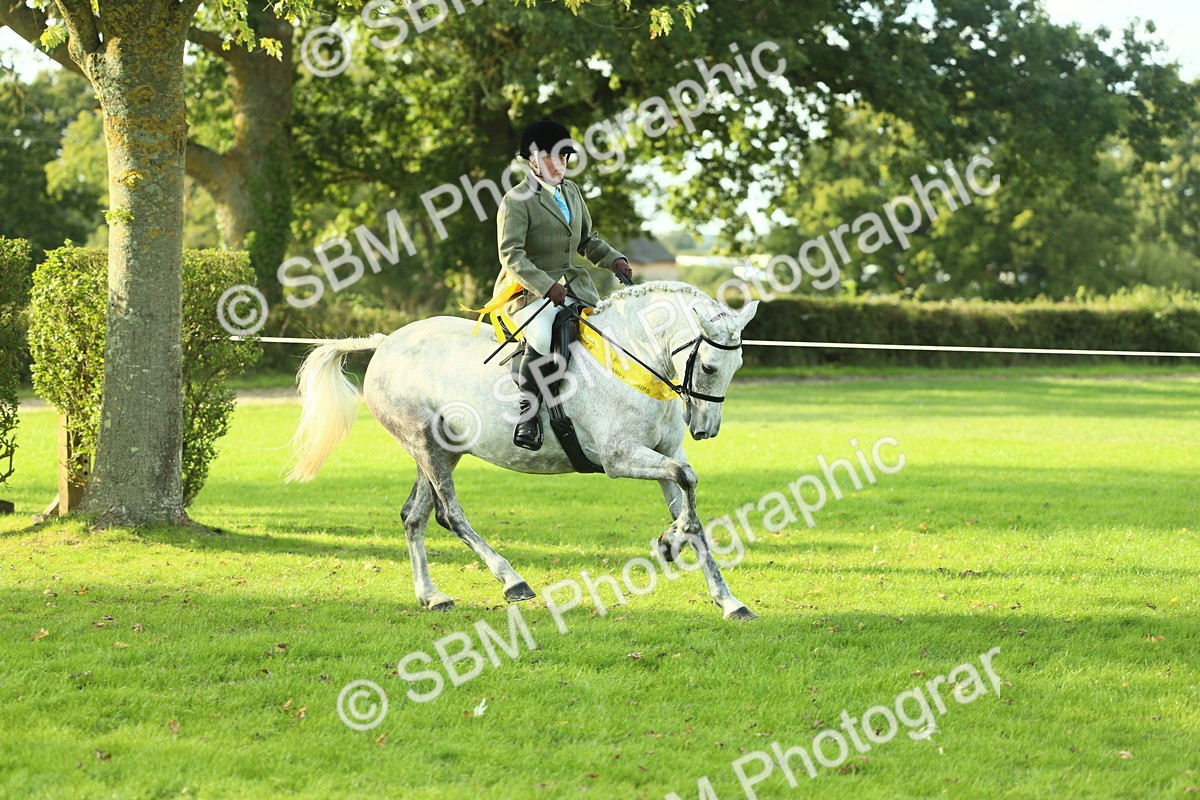 SBM_52283 - Working Hunter Supreme Championship