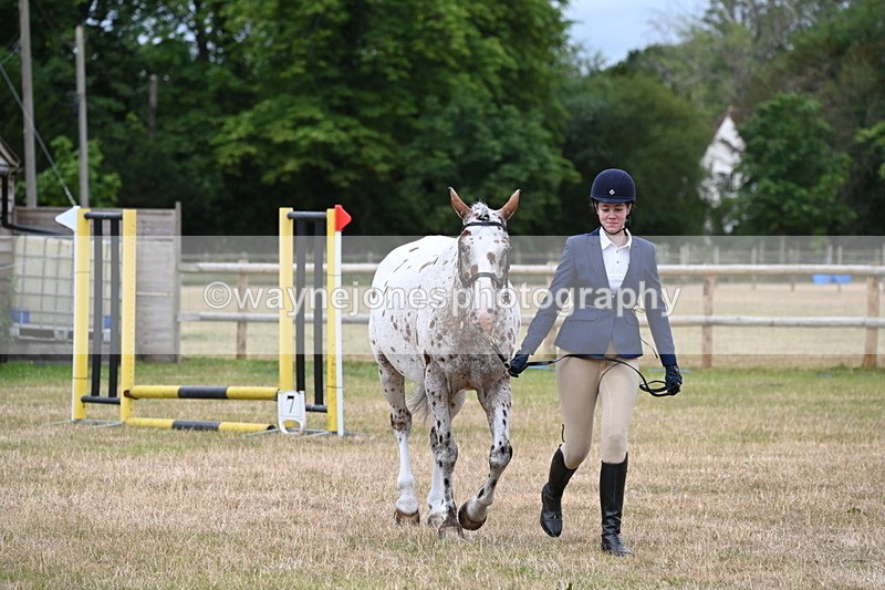 WJ6_4289 - Class 10 Coloured In-hand