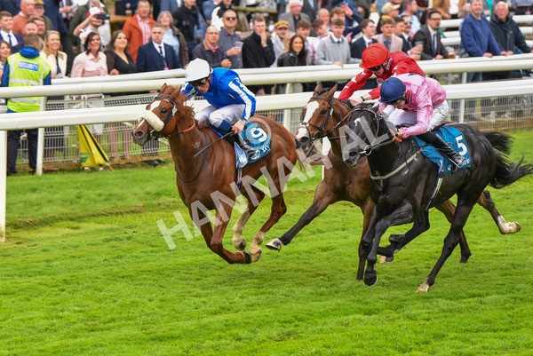 190523-Race 3-Marhaba The Champ-0642 - Race 3 3.00pm Knights Solicitors Handicap