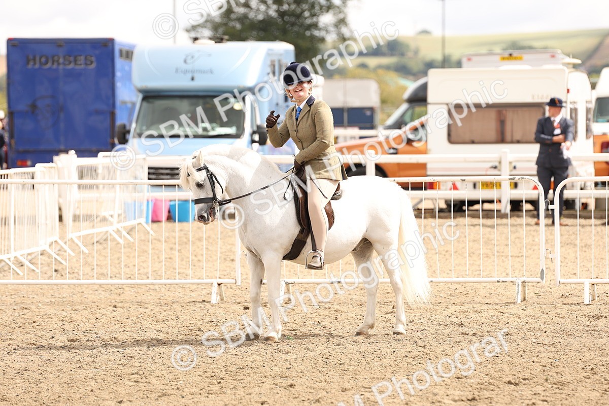 SBM_05194 - Class 56b -  Style & Performance - 50cm (20+)