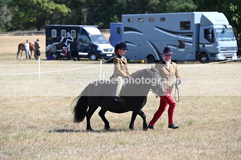 WJ6_7711 - Class 36 Lead Rein