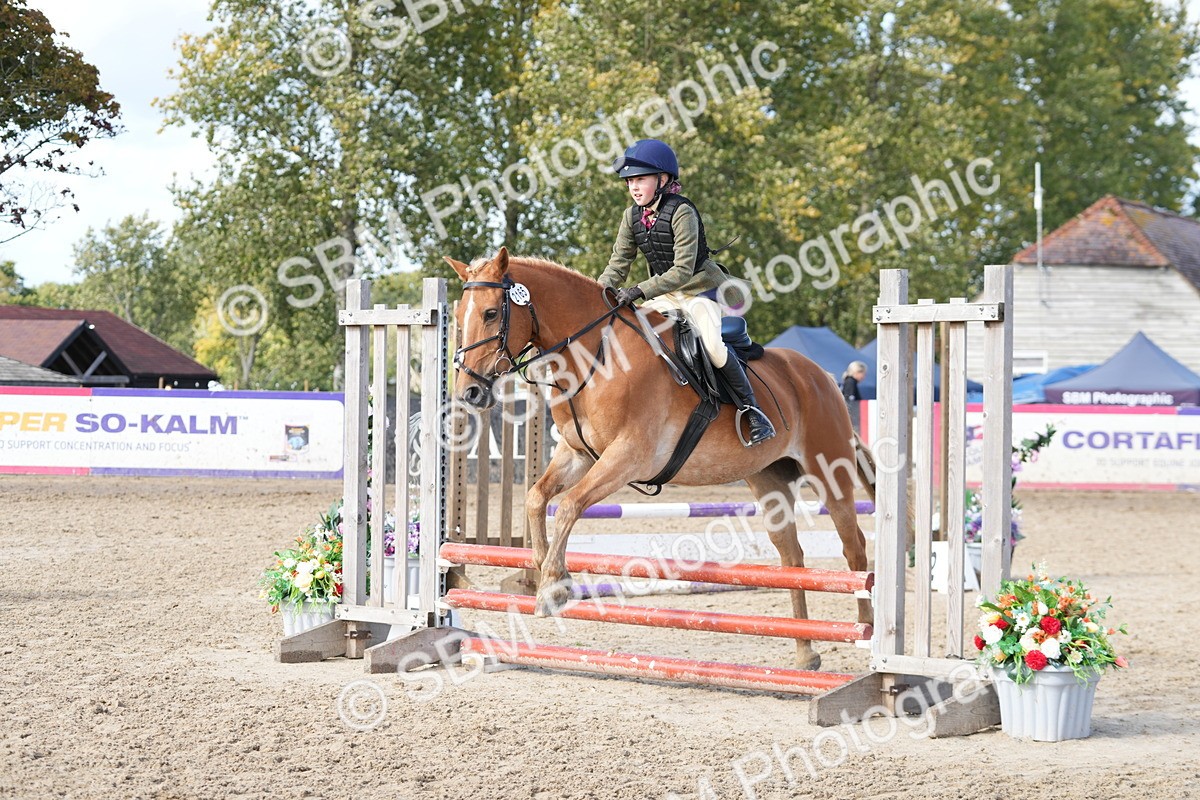 SBM_48478 - J7 - Junior Pony 60cm Championship
