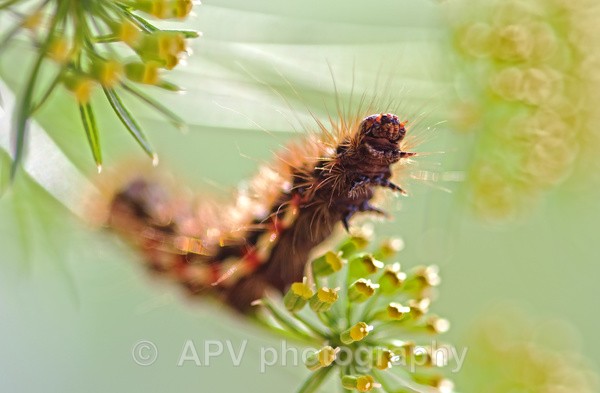 Smile for the Camera. - The Photographic Angle - Wildlife Exhibition