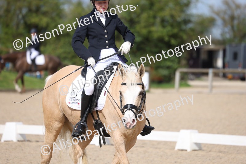 20260405-0221 - Class 3 - Novice 5