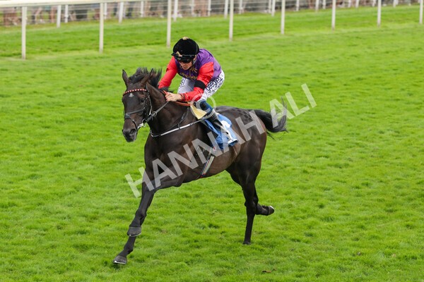 yr24072021r6-6 - Race 6 5.00pm Sky Bet Supporting New Beginnings