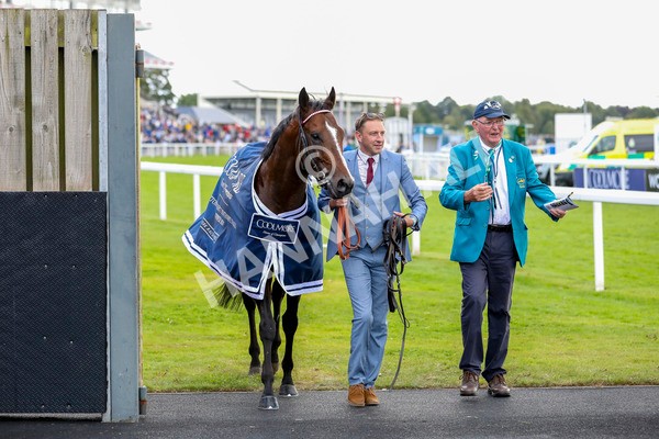 230824-Race 4-Bradsell-8430 - Race 4 3.35pm Coolmore Wootton Bassett Nunthorpe Stakes