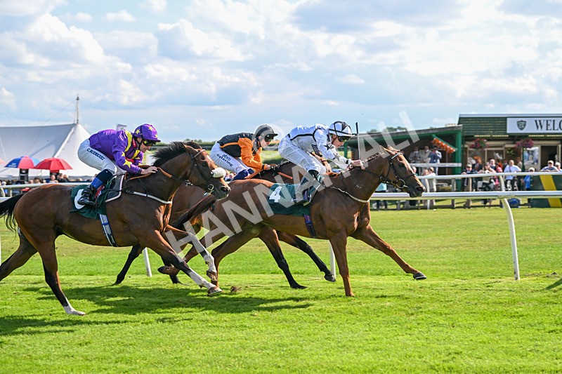 160725-Race 6-Bellarchi-9438 - Race 6