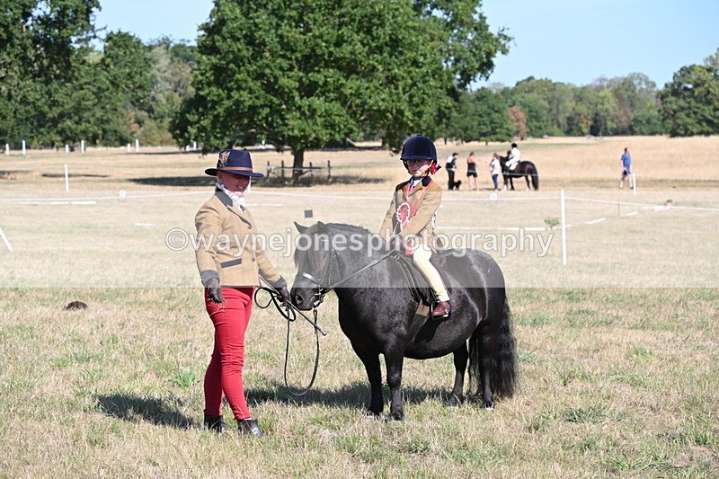 WJ6_7653 - Class 34 Judges Choice