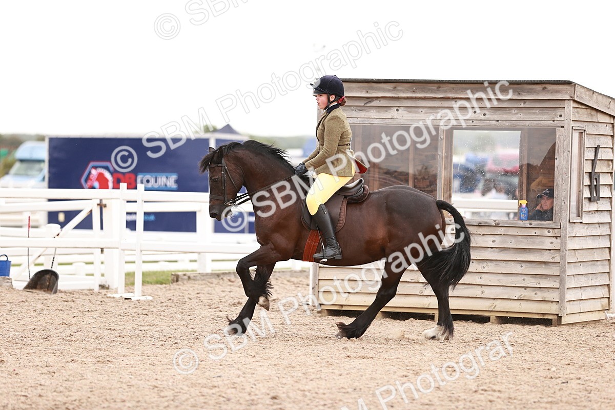 SBM_19061 - Class 422 - Ridden M&M