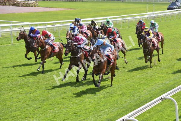yr13052021r1-33 - Race 1 1.40pm The Matchbook Betting Exchange Stakes