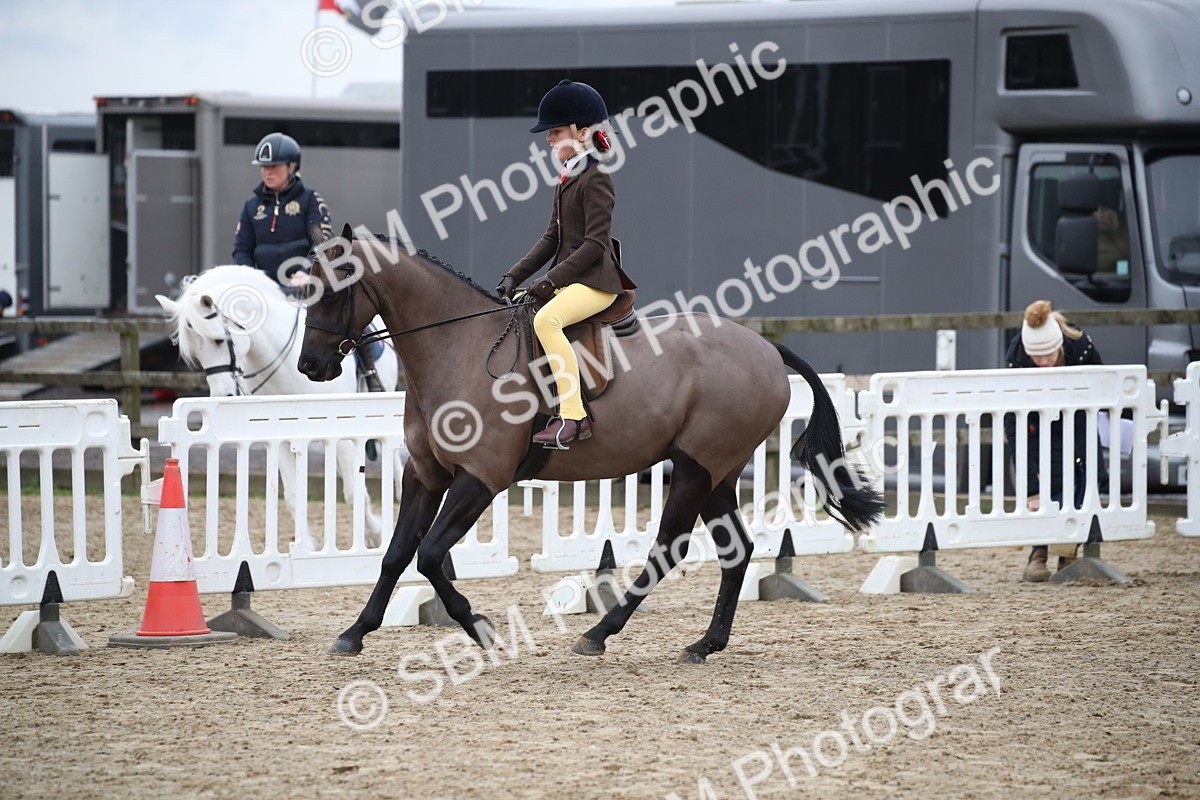 SBM_004611 - Class 5-9 - NPS In Hand-Show Hunter-Intermediate Ridden Inc Ridden Championship
