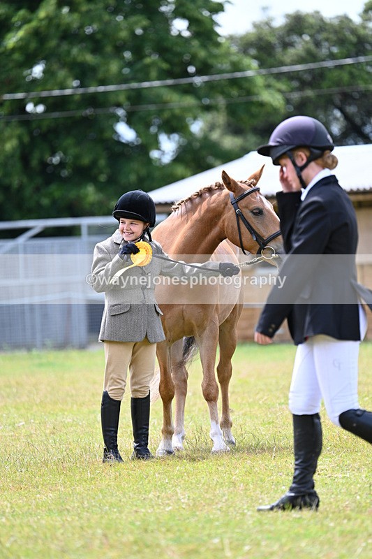 WJ7_6708 - Class 5 Handsome Gelding in hand