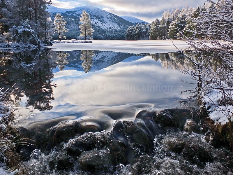 The Wolfs Lair - Earth