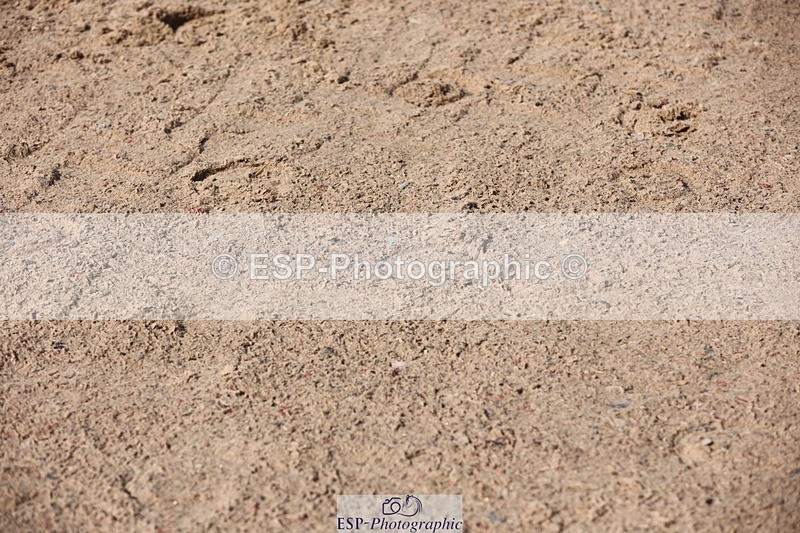 250427-100239-15219 - Cls 32 Young Horse 6yr old