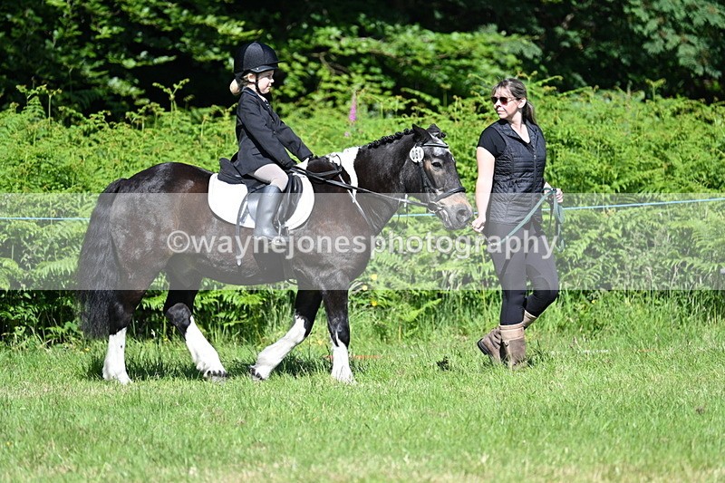 WJ7_0660 - Class 8 First Rally Pony