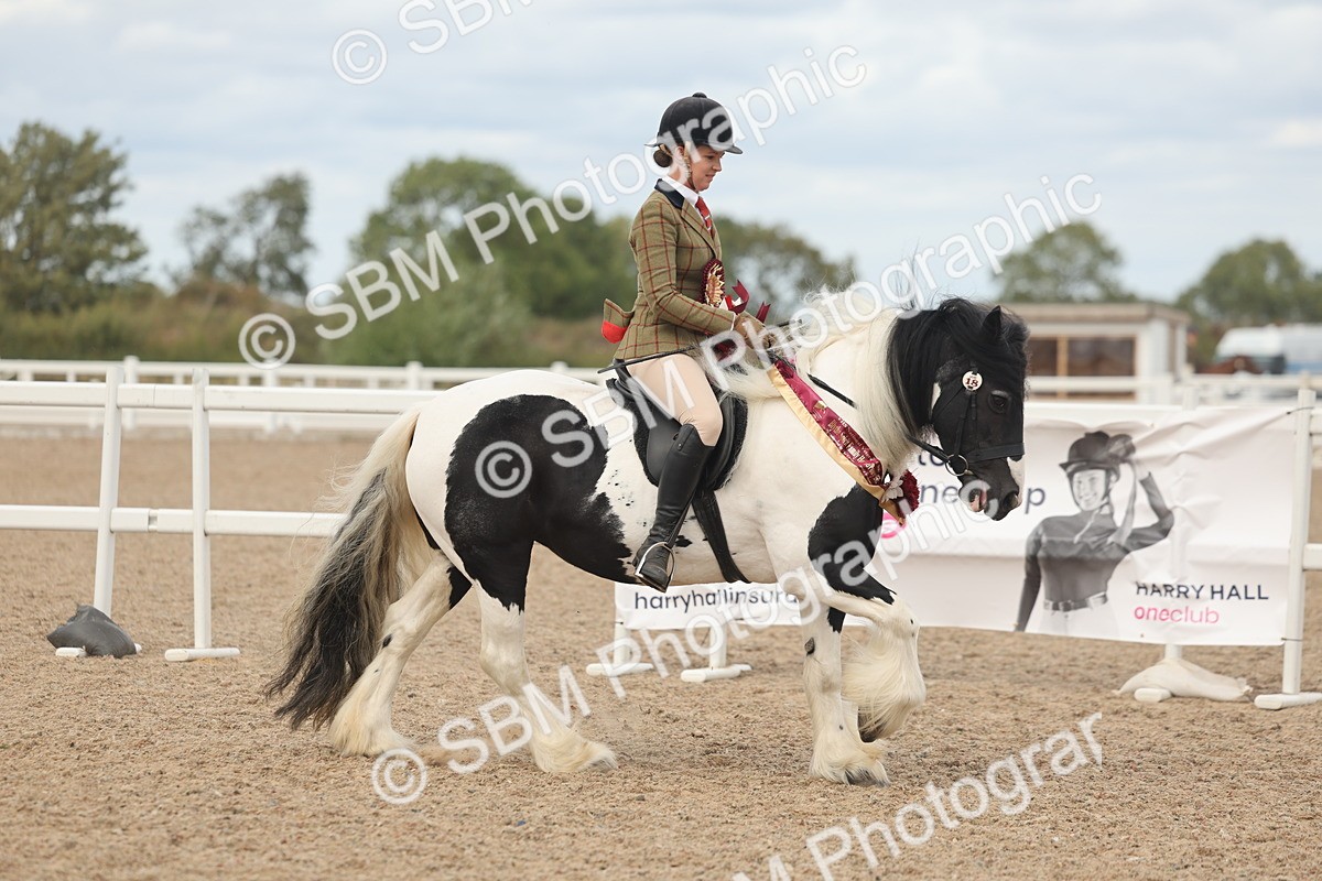 SBM_18091 - Class 314 - Family Horse Pony