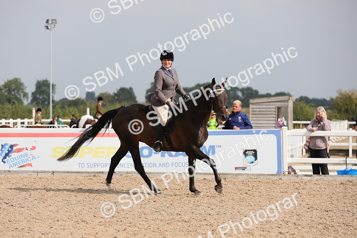 SBM_11454 - Class 305 Ridden Foreign Breeds- Pure Bred