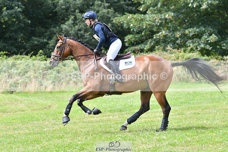 240804-115858-11909 - 301-Dani_Evans-SLEEPING_LION_TH