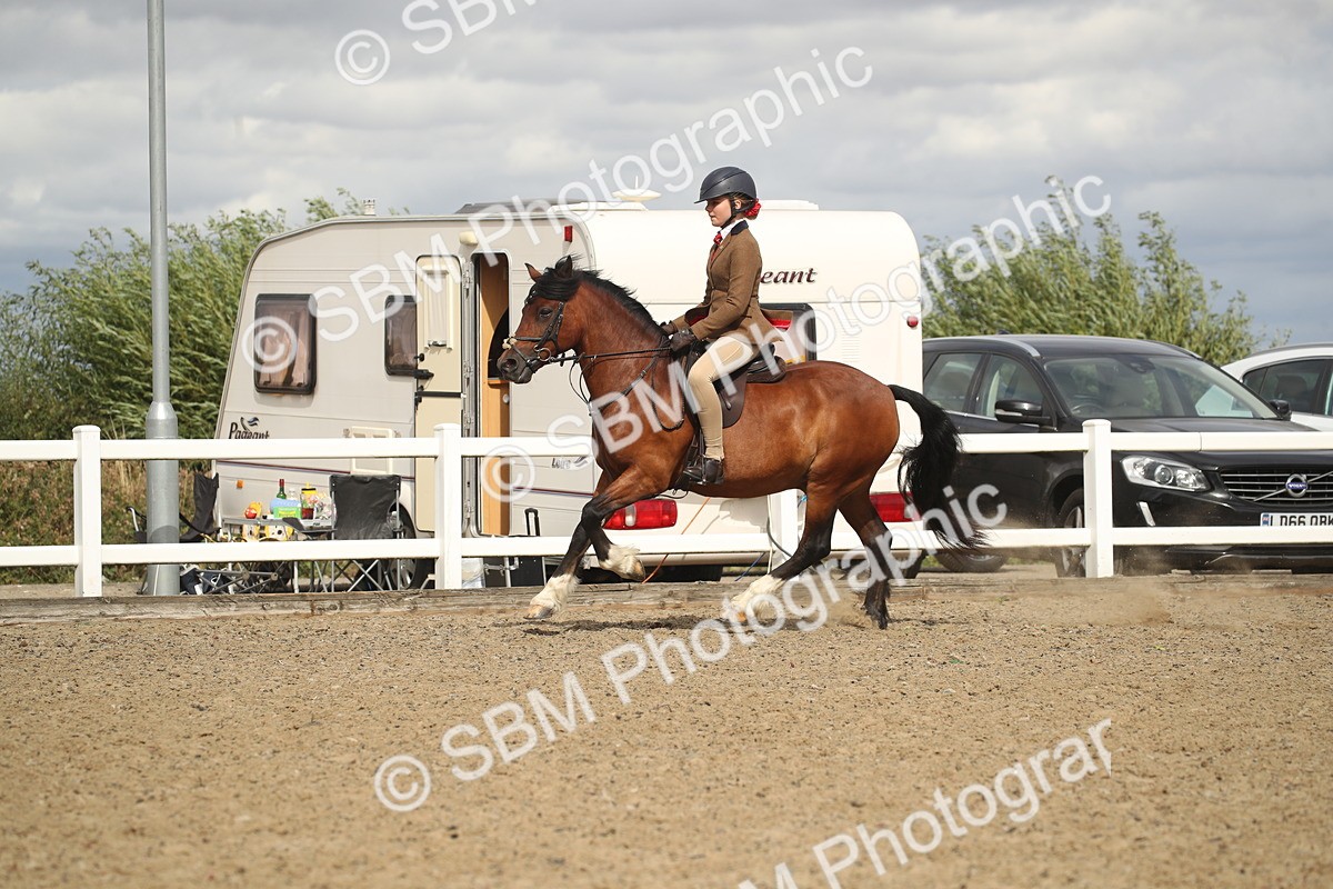 SBM_17859 - Class 508b - Working Veteran 70cm (20+)