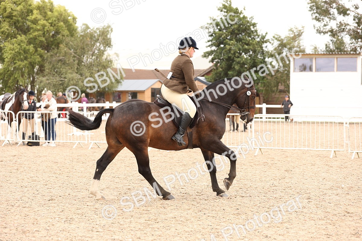 SBM_19535 - Class 215 - Ridden Show cob