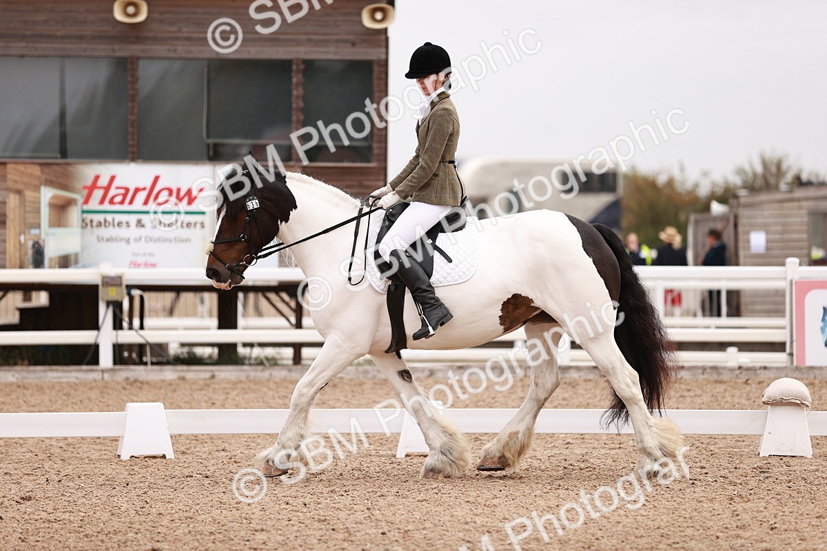 SBM_01697 - Class 34 - Prelim 3