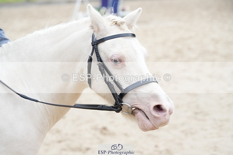 250820A-090848-01115 - Round 2, Start to 9.45 Break