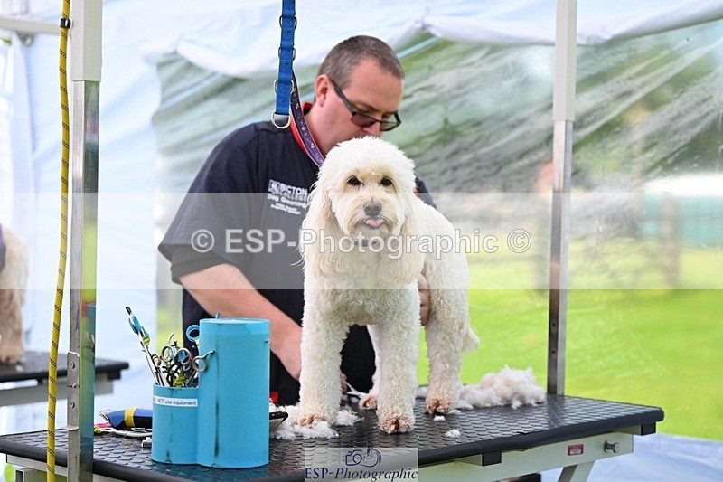 240525-114645-12611 - Candid and Saturday Hobby Horse