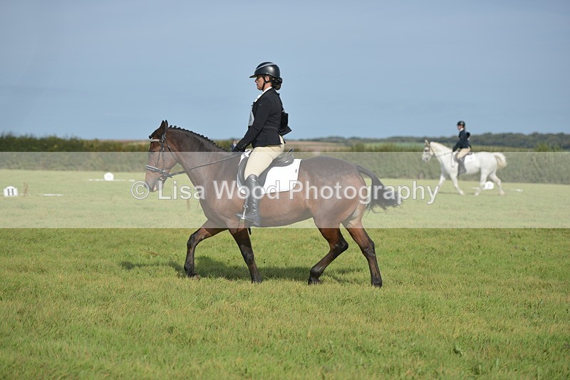 RAY_7720 - Class 2B: Trekenning Open: Dressage