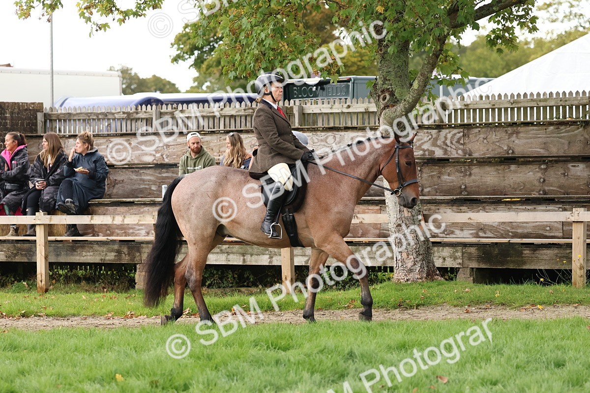 SBM_44928 - S27 - Young Veteran Ridden