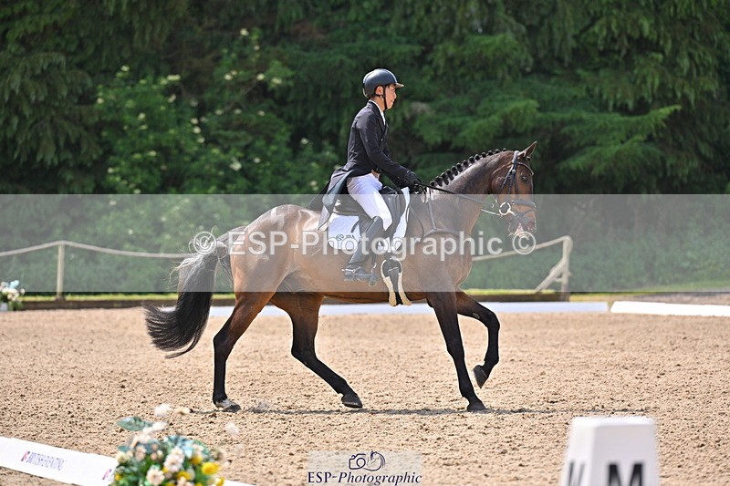 250523A-121256-06794 - C-280-Ryo.Murata-BROOKPARK.VIKENTI