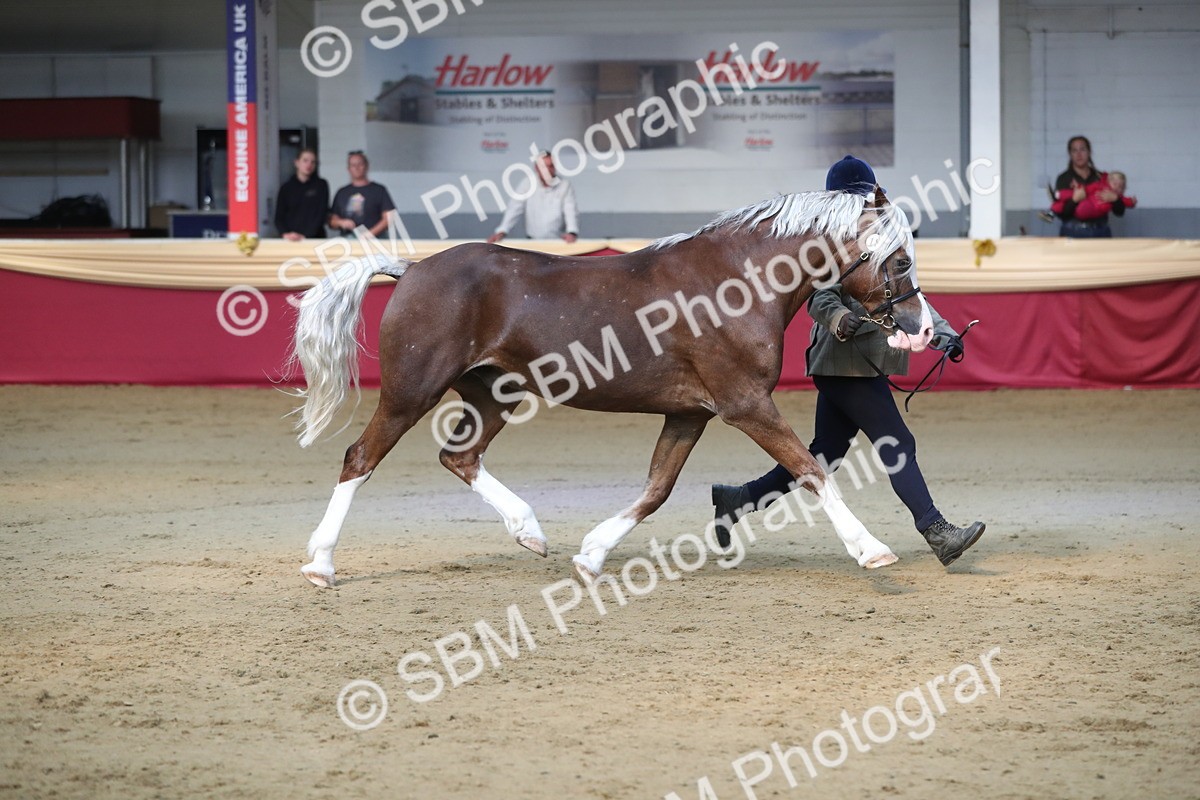 SBM_01354 - Class 3a Area IH Pre Vet