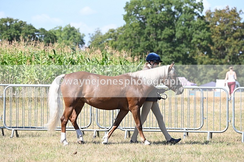 WJ6_4458 - Class 17 Mountain & Moorland