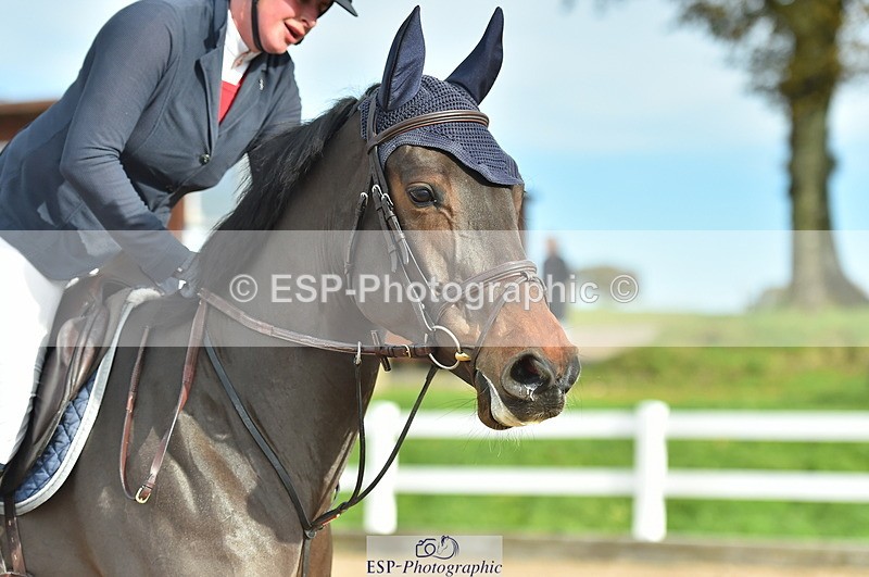 231111A-125638-02001 - Cls 12 Newcomers & 1.10m Open